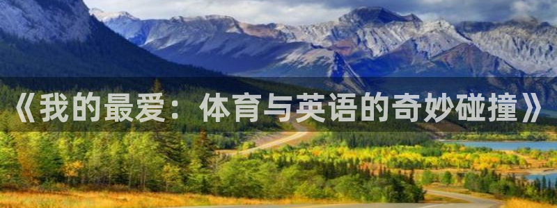 vsport体育在线官网